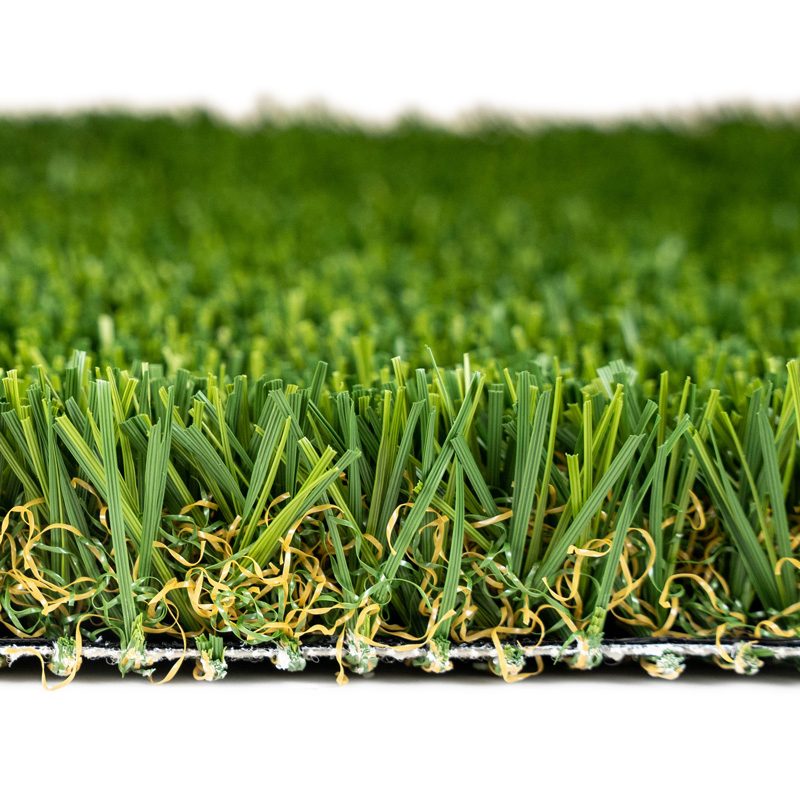 AZPetscapeFescue-2
