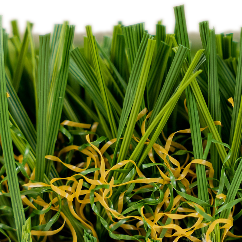 AZPetscapeFescue-3