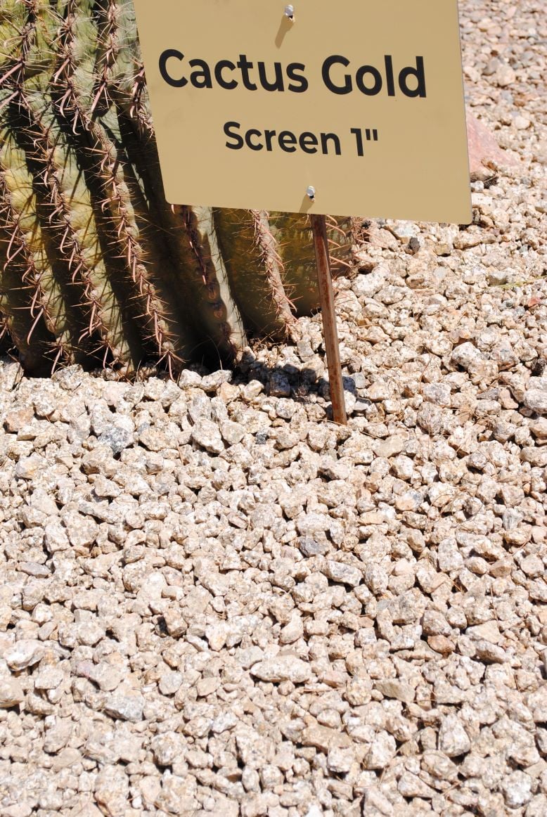 Cactus Gold Screened 1"