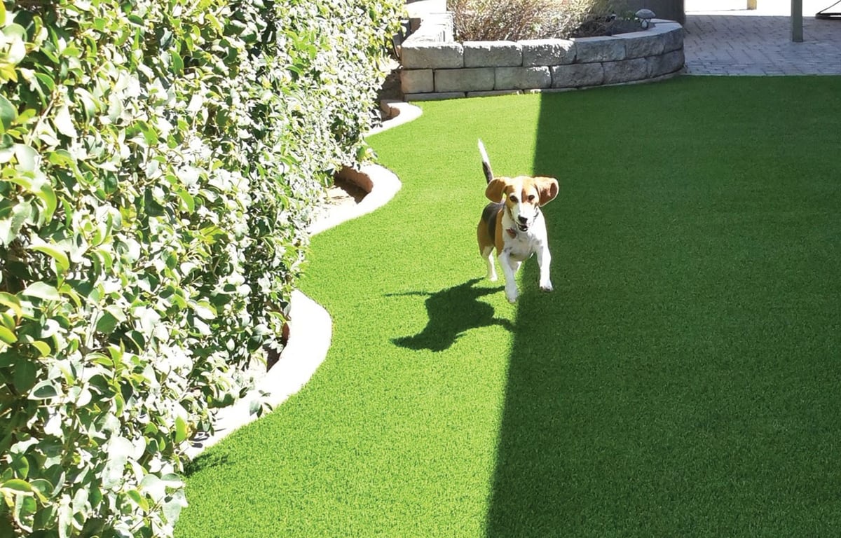 PetScroller-5