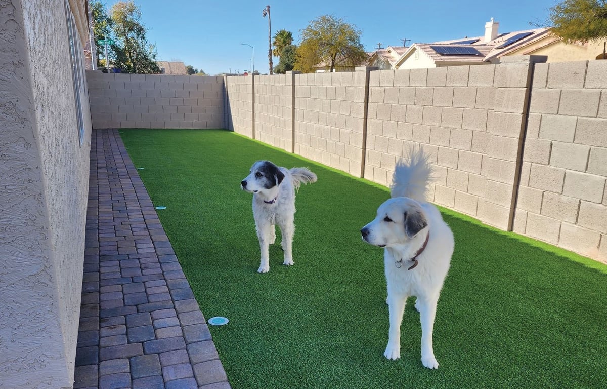 PetScroller-7